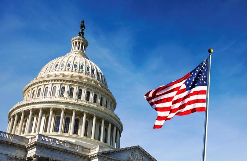capitol and flag