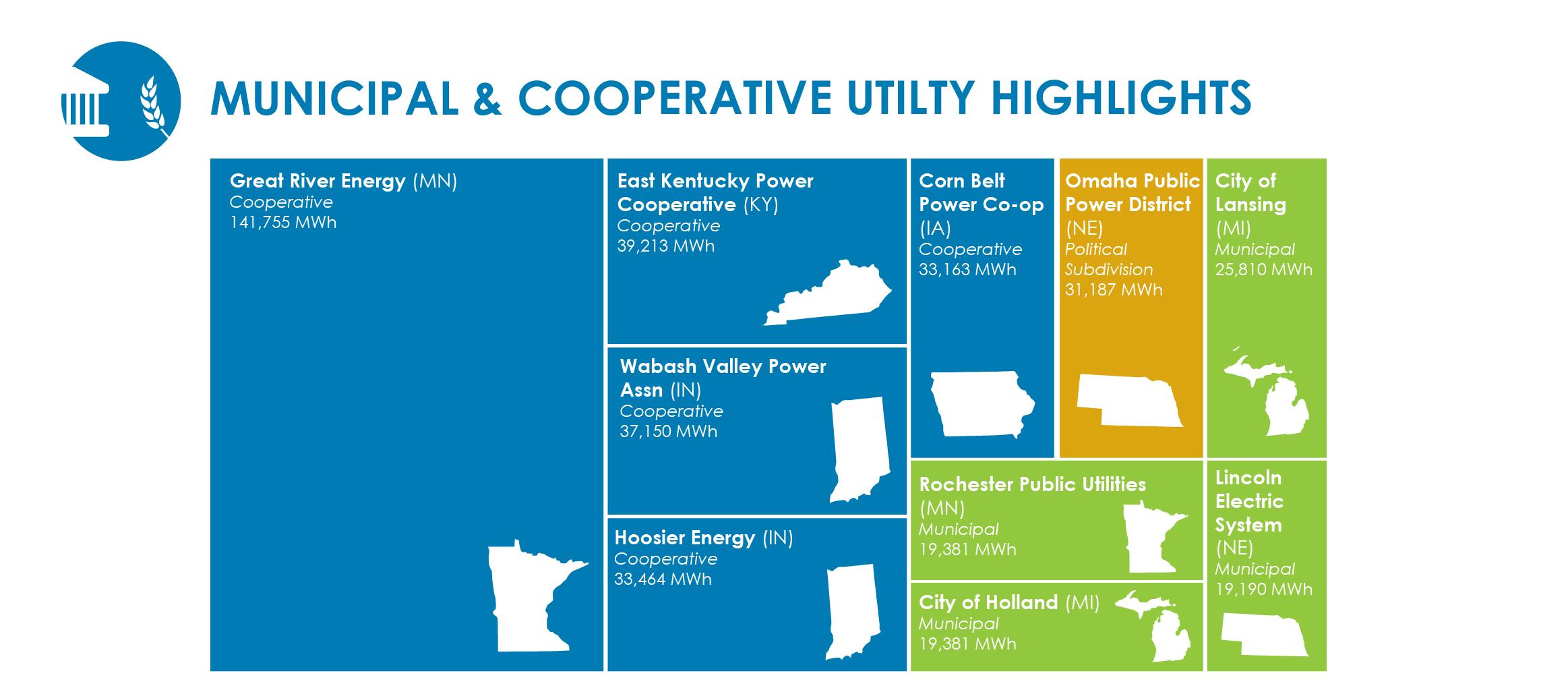 municipal and cooperative utilities