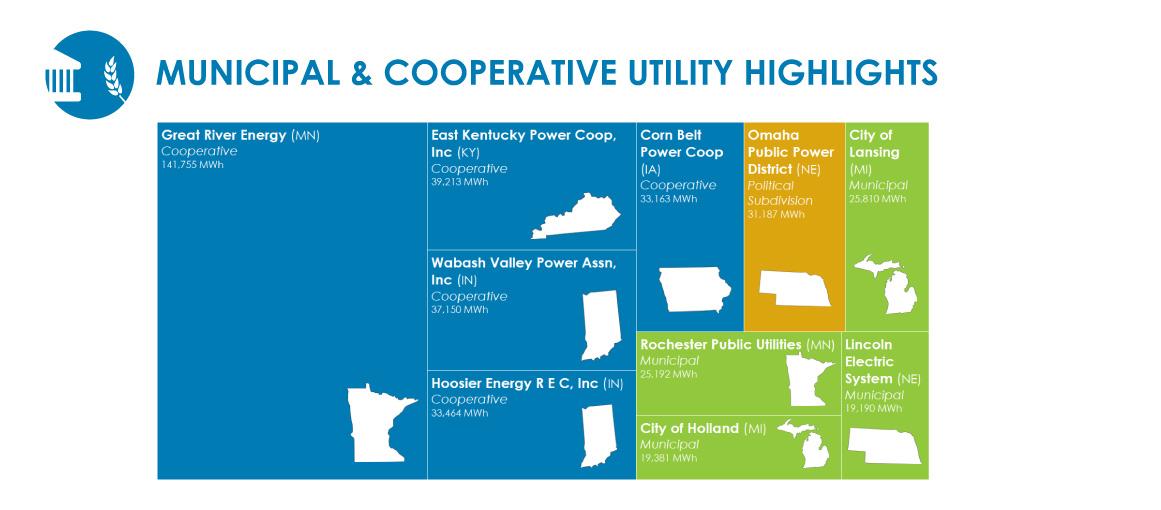 municipal and cooperative utilities